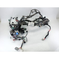 CABLEADO ELECTRICO 240118779R 