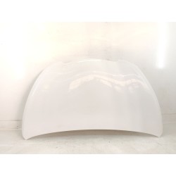CAPOT DELANTERO F51004FAMA 
