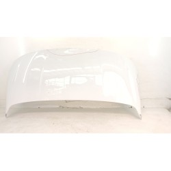 CAPOT DELANTERO 9820422880 