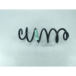 MUELLE AMORTIGUACION 550206UA7B 