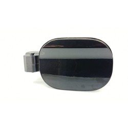TAPA EXTERIOR COMBUSTIBLE 81595G4000 