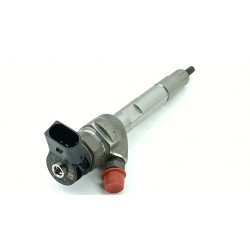 INYECTOR 13538472208 