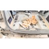 Recambio de gomas contorno puerta para fiat 500 (312_) 1.2 (312axa1a) referencia OEM IAM   