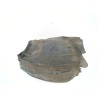 Recambio de paso rueda delantero izquierdo para ford focus iv (hn) 1.5 ecoblue referencia OEM IAM 2444002  