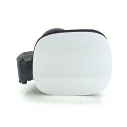 TAPA EXTERIOR COMBUSTIBLE 2430773 