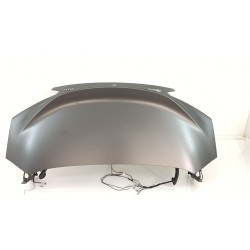 PORTON TRASERO 41009879733 