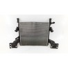 Recambio de radiador agua para volkswagen id.3 (e11, e12) pro referencia OEM IAM 1EA121251B  