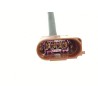 Recambio de sonda lambda para volkswagen polo vi (aw1, bz1, ae1) 1.0 referencia OEM IAM 4C906262AE  