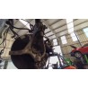 Recambio de mangueta delantera derecha para volkswagen id.3 (e11, e12) pro referencia OEM IAM 1EA407254H  