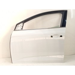 PUERTA DELANTERA IZQUIERDA 801010705R 