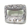 Recambio de porton trasero para ford puma (j2k, cf7) 1.0 ecoboost referencia OEM IAM 2732183  