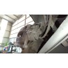 Recambio de pinza freno trasera derecha para audi a4 b9 (8w2, 8wc) 2.0 tdi referencia OEM IAM 8W0615404MSL7  