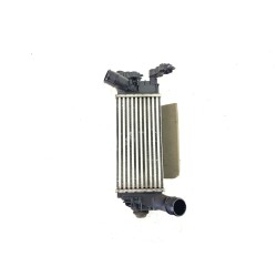 INTERCOOLER L1BG6D624AB 