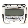 Recambio de porton trasero para bmw 1 (f40) 118 d referencia OEM IAM 41009627390  