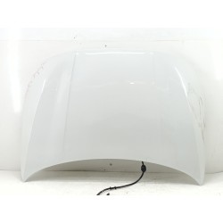 CAPOT DELANTERO 41619630180 