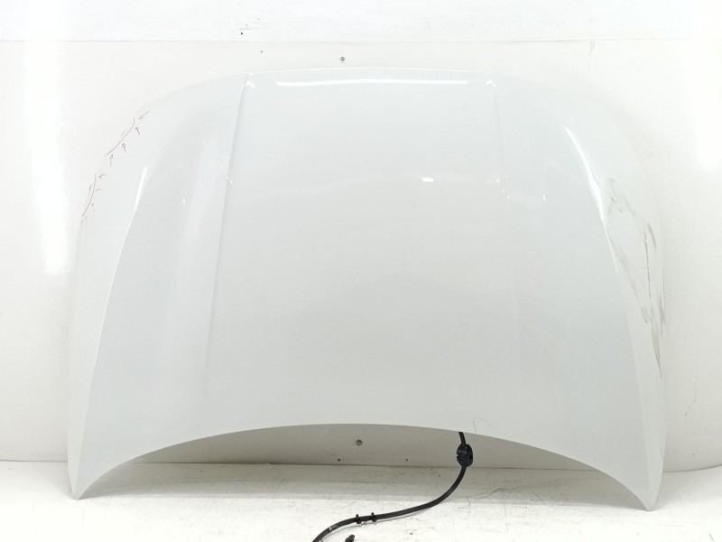 Recambio de capot delantero para bmw 1 (f40) 118 d referencia OEM IAM 41619630180  