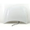Recambio de capot delantero para bmw 1 (f40) 118 d referencia OEM IAM 41619630180  