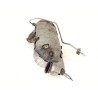 Recambio de filtro de particulas para peugeot rifter 1.5 bluehdi 100 referencia OEM IAM 9822860580  