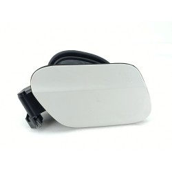 TAPA EXTERIOR COMBUSTIBLE 14290410 