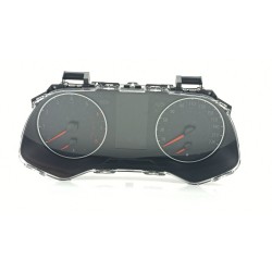 CUADRO INSTRUMENTOS 248094722R 