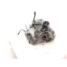 Recambio de caja cambios para renault clio v (b7_) tce 90 (b7mt) referencia OEM IAM JT4004  
