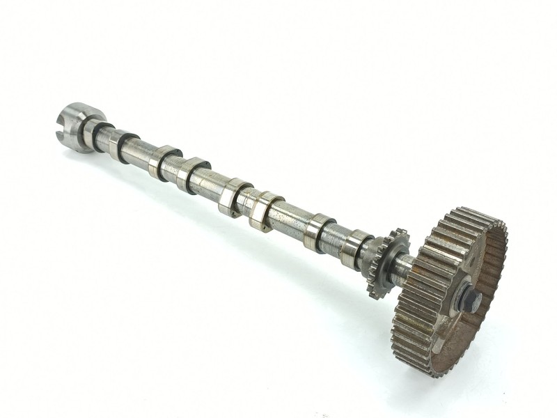 Recambio de arbol de levas para citroën jumper iii furgoneta 2.2 bluehdi 140 referencia OEM IAM 9804424280  