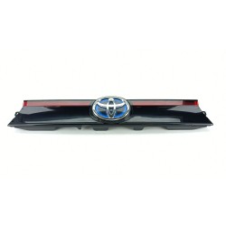 MOLDURA 768010D760 
