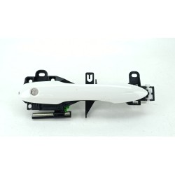 MANETA EXTERIOR DELANTERA IZQUIERDA 6921102935 