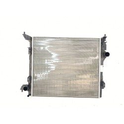 RADIADOR AGUA 214102979R 