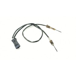 SENSOR 9812376480 