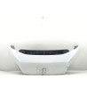 Recambio de capot delantero para peugeot boxer furgoneta 2.0 bluehdi 130 referencia OEM IAM 50158078  