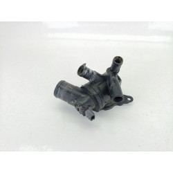 TERMOSTATO 110617250R 