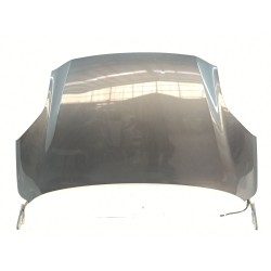 CAPOT DELANTERO 2645539 