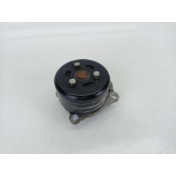BOMBA AGUA 210106094R 