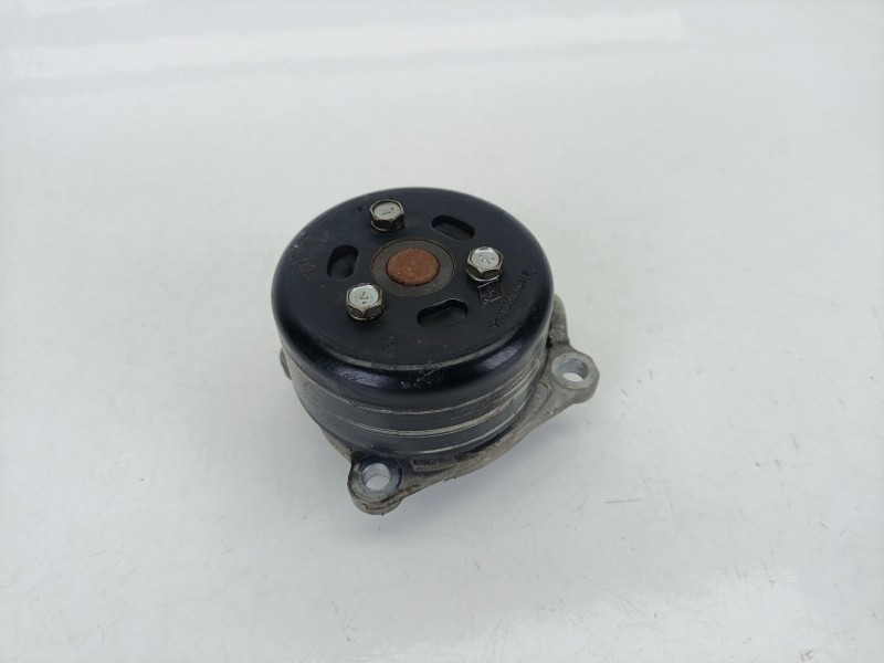 Recambio de bomba agua para renault megane iv hatchback (b9a/m/n_) 1.2 tce 100 (b9ms) referencia OEM IAM 210106094R  