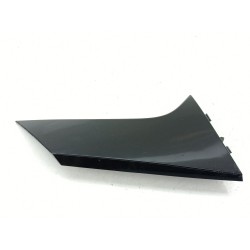 MOLDURA 960320029R 