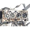 Recambio de bloque para volkswagen crafter furgoneta (sy_, sx_) 2.0 tdi referencia OEM IAM 04L023AK  