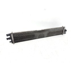 RADIADOR AGUA 214C1001R 