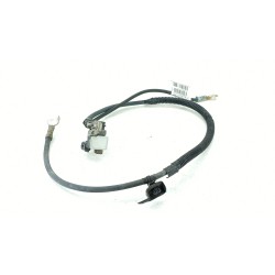 CABLEADO ELECTRICO 250825784R 
