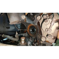 MANGUETA DELANTERA IZQUIERDA 2451516 