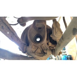 MANGUETA TRASERA DERECHA LR068883 