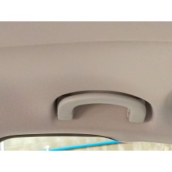 ASIDERO TECHO DELANTERO IZQUIERDO 735665297 