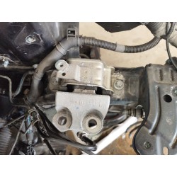 SOPORTE MOTOR DERECHO 51983880 