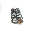 Recambio de muelle amortiguacion para peugeot partner tepee 1.6 hdi 90 referencia OEM IAM   