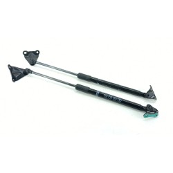 AMORTIGUADORES MALETERO / PORTON 68960K0020 