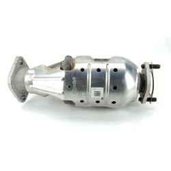 CATALIZADOR 289G007FP0 