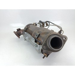 FILTRO DE PARTICULAS 250510R060 