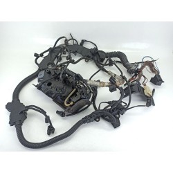 CABLEADO ELECTRICO 851325801 