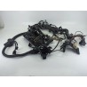 Recambio de cableado electrico para bmw 5 touring (f11) 535 d referencia OEM IAM 851325801  