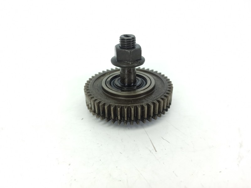 Recambio de polea cigueñal para bmw x1 (f48) sdrive 18 d referencia OEM IAM 8570744  